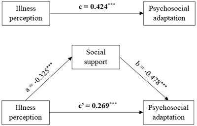 Social support mediates the relationship between illness perception and psychosocial adaptation among young and middle-aged kidney transplant recipients in China